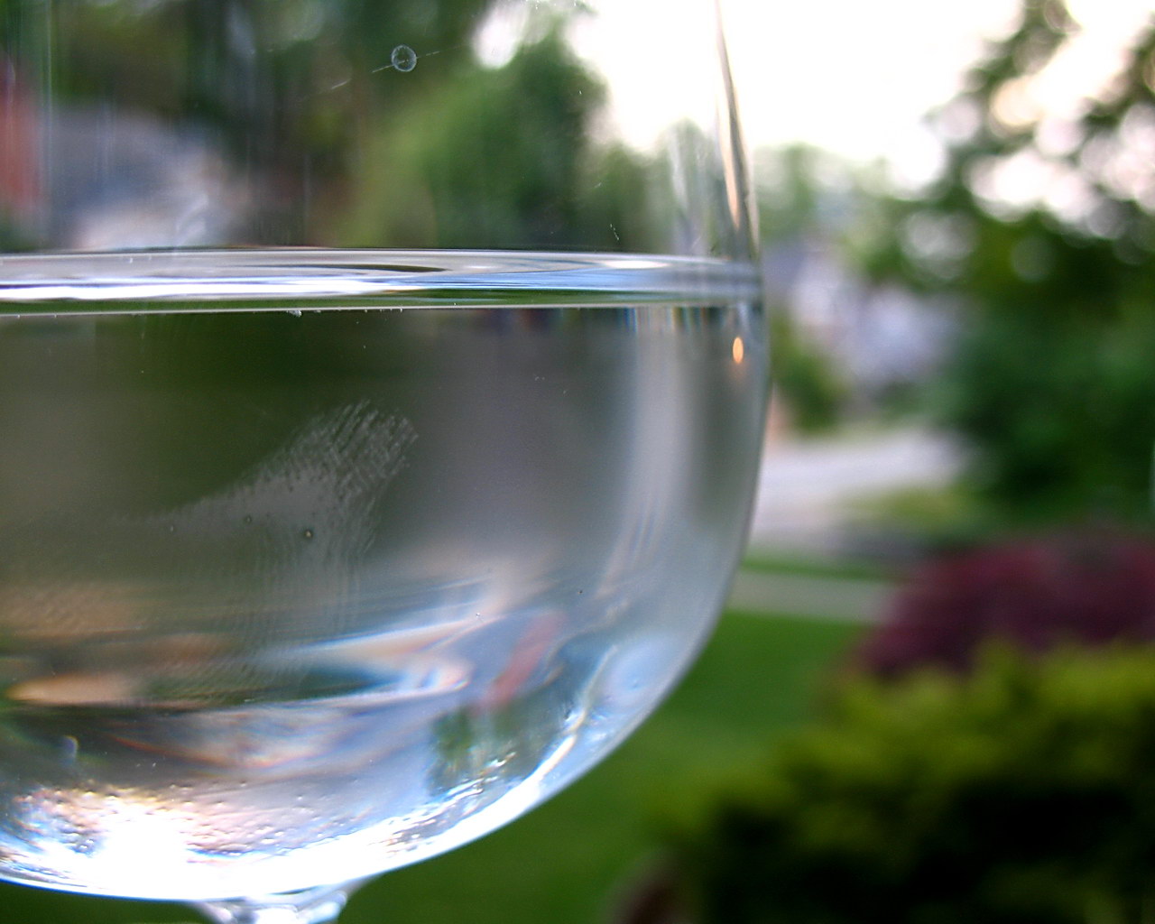 simplicity of a water goblet