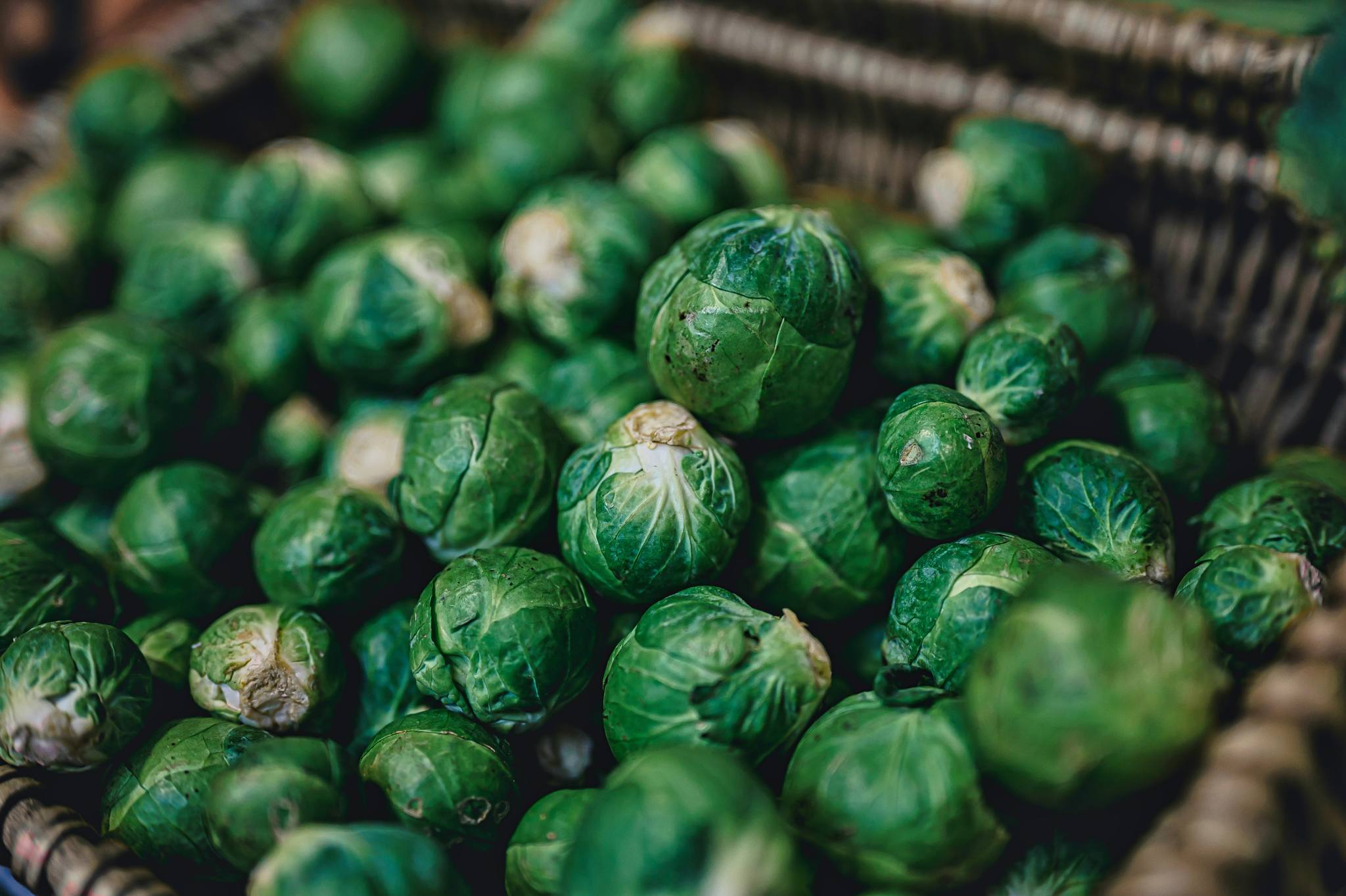 Roasted Brussel Sprouts