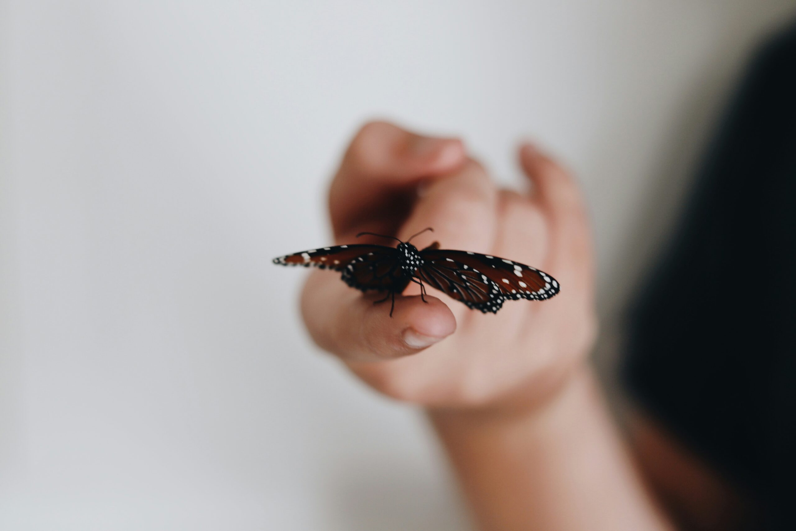 The Grace of Second Chances: New Mercies for Old Dreams